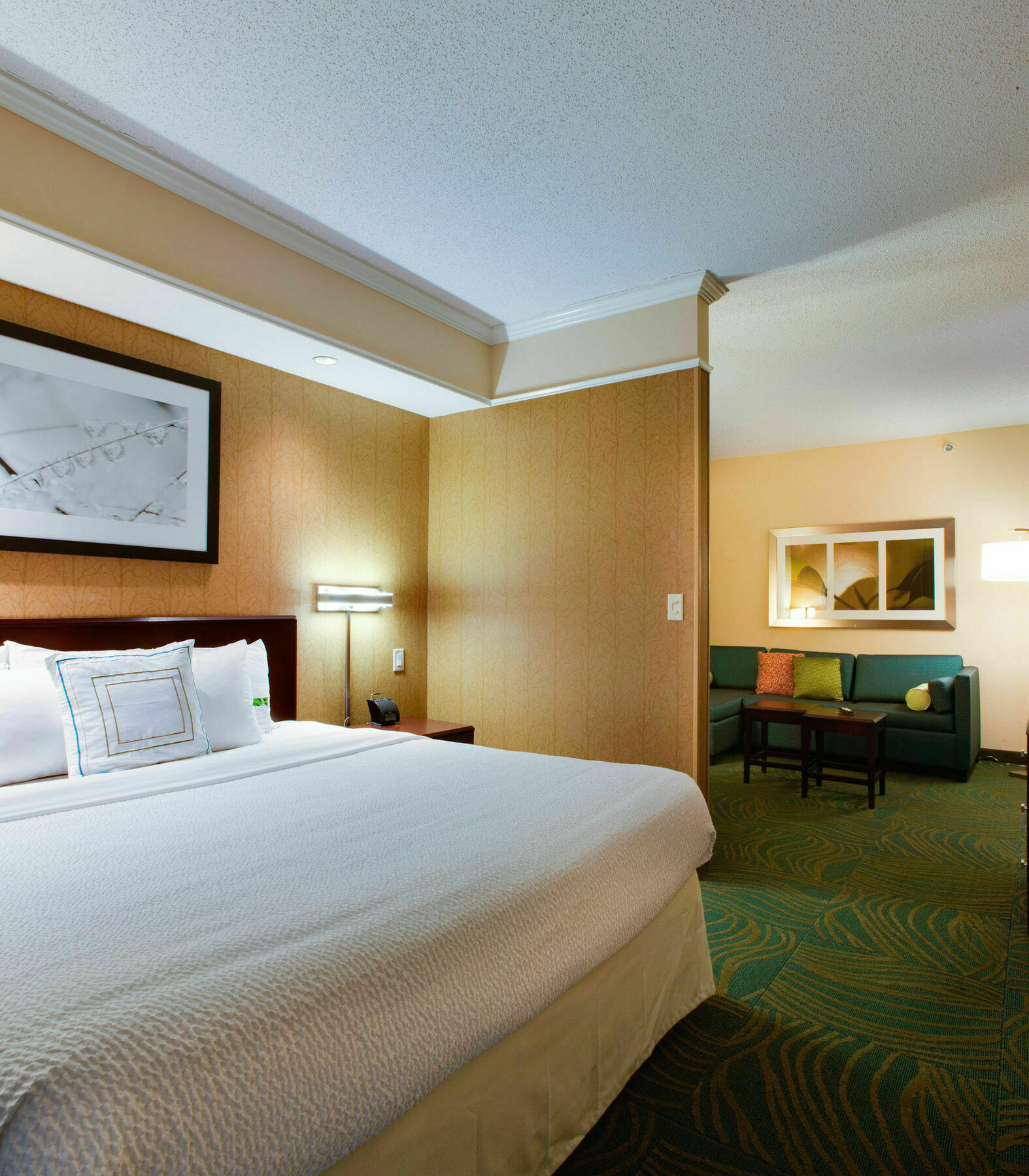 Hotel Springhill By Marriott Savannah I-95 South